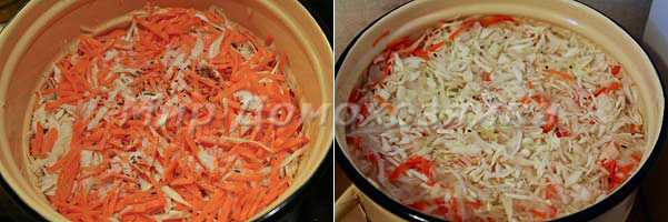 Капусту и морковку укладываем слоями